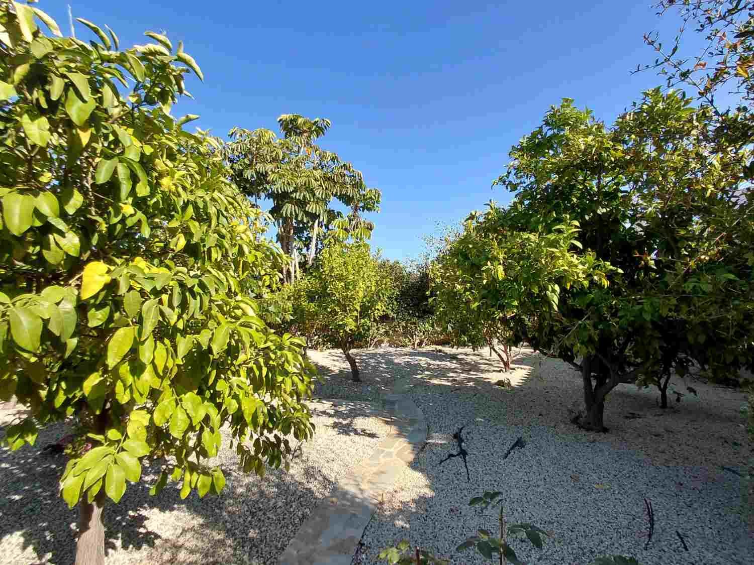Sea View Bungalow on Large Private Plot