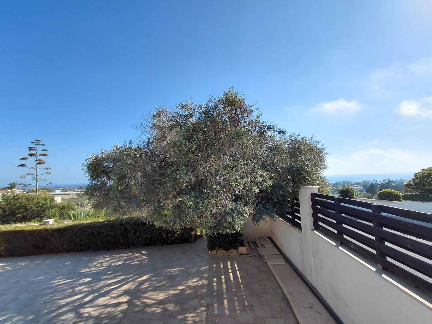 Sea View Bungalow on Large Private Plot