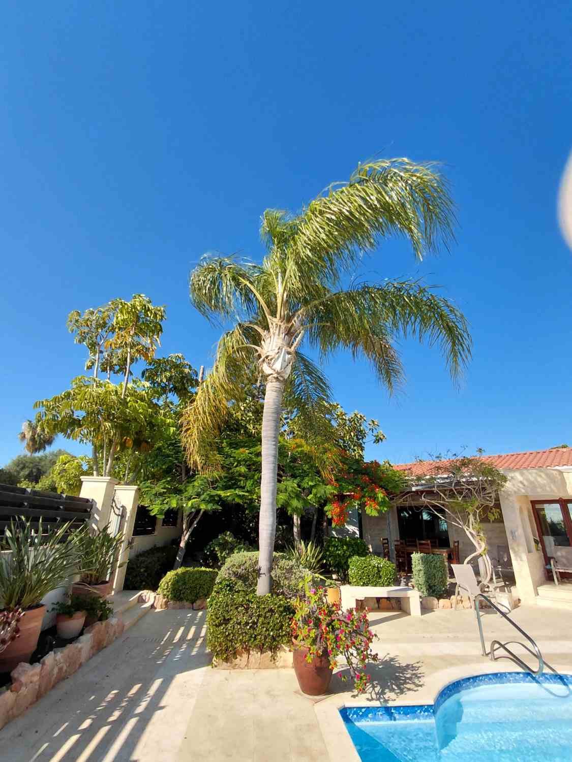 Sea View Bungalow on Large Private Plot