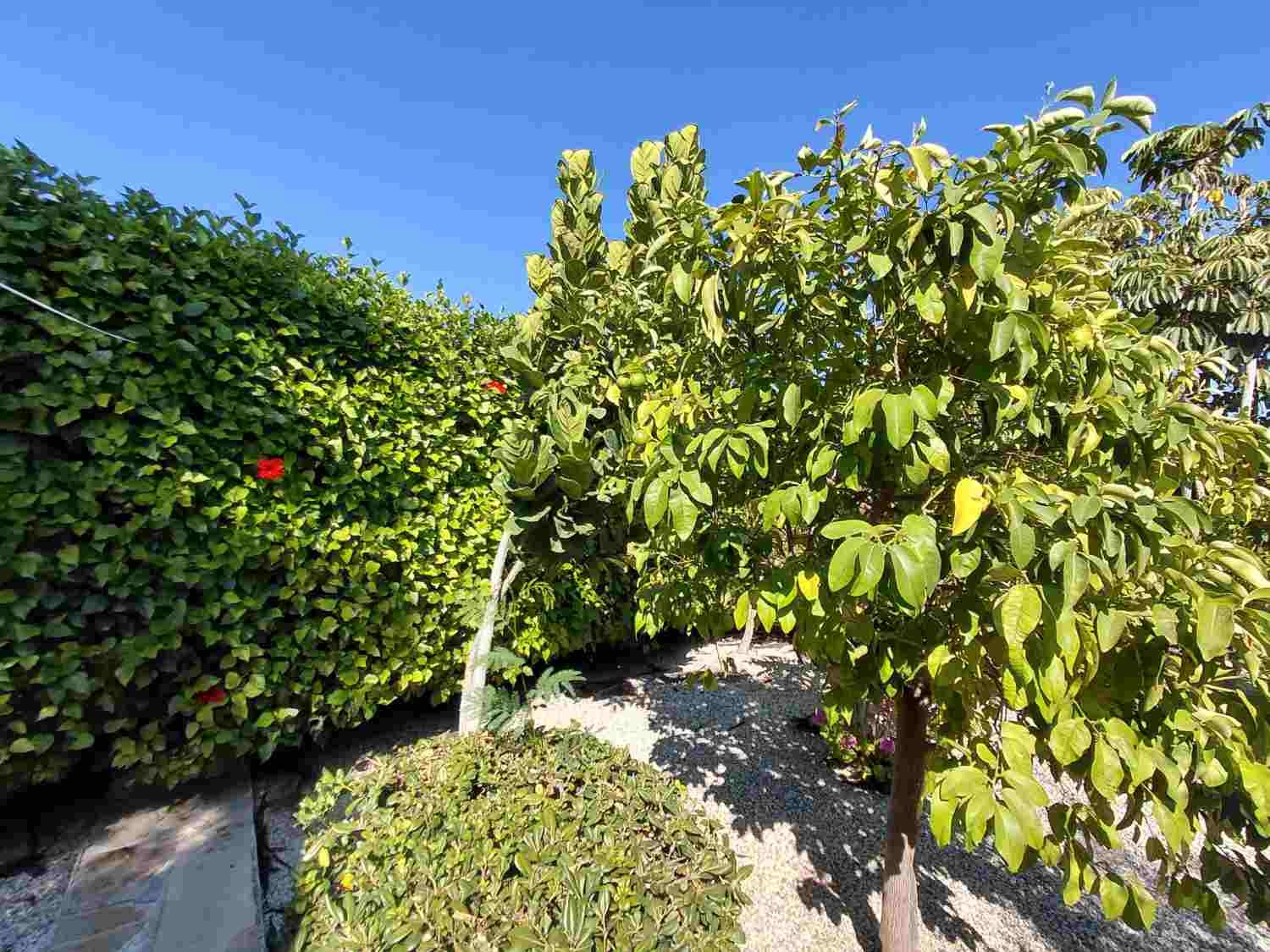 Sea View Bungalow on Large Private Plot