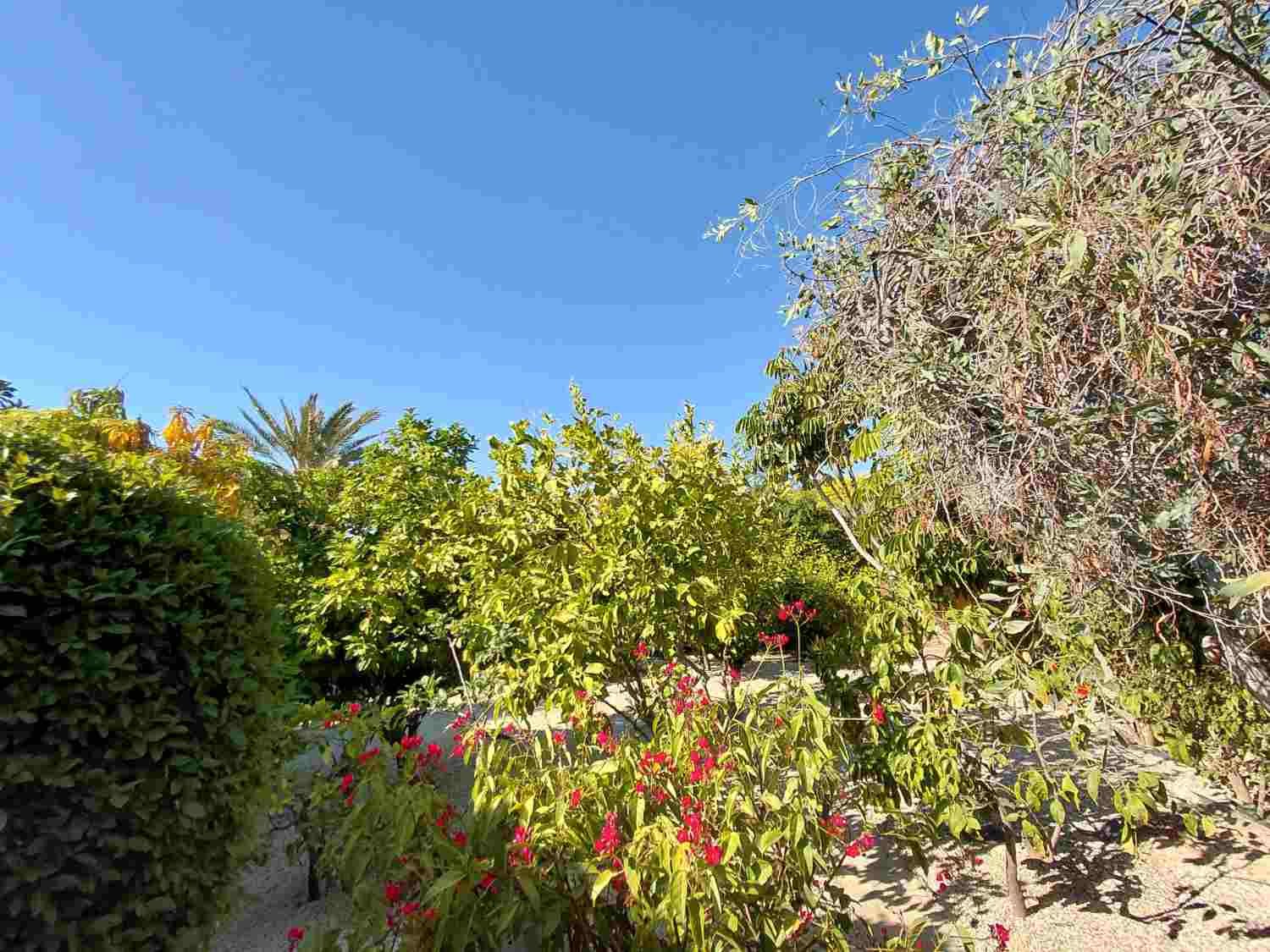 Sea View Bungalow on Large Private Plot