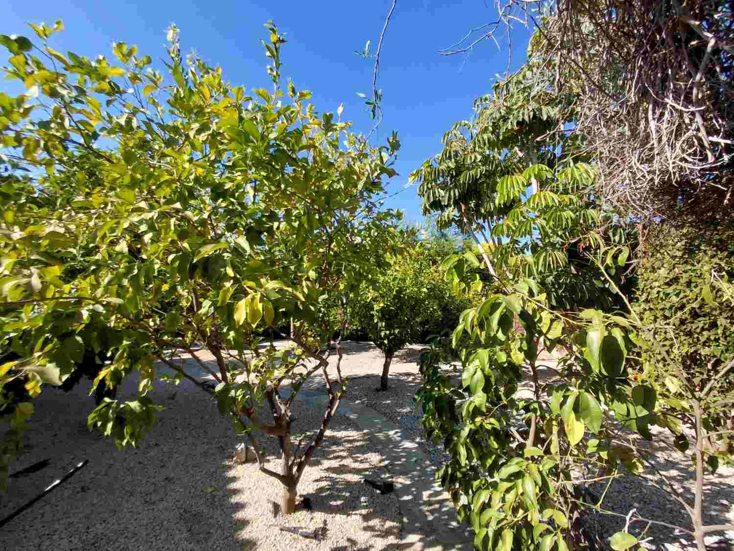 Sea View Bungalow on Large Private Plot