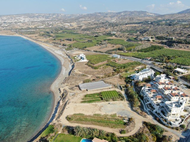 Seafront modern villa in Paphos