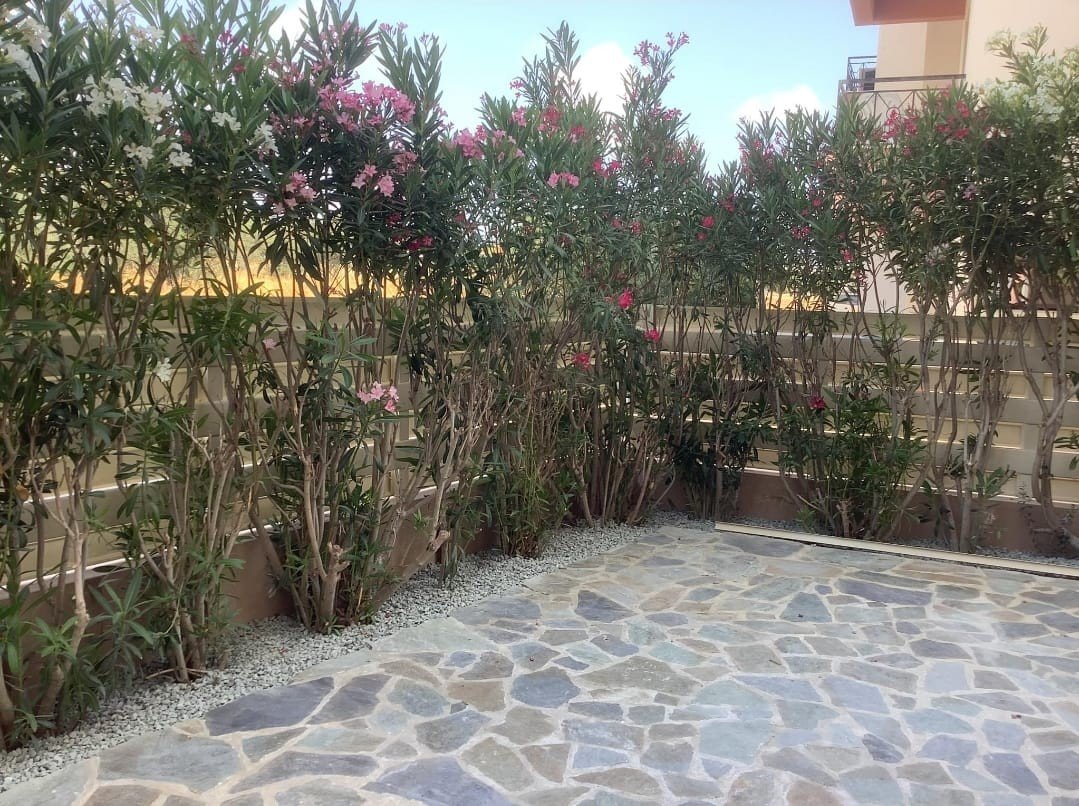 Garden flat near beach in King Resort
