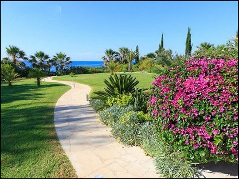 Beachfront villa on large plot