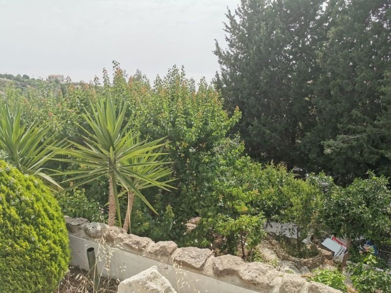 Renovation project with sea views in Paphos