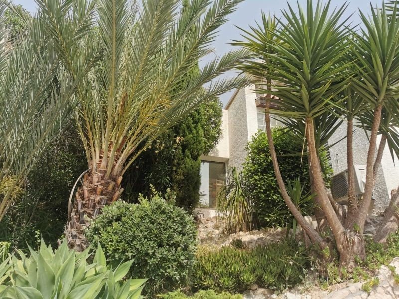 Renovation project with sea views in Paphos