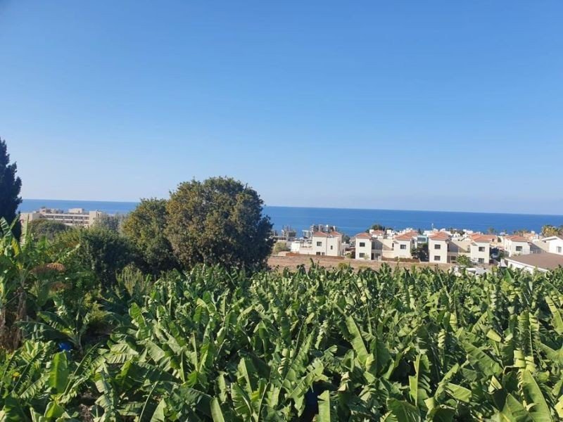 3 villas Investment by sea in Paphos