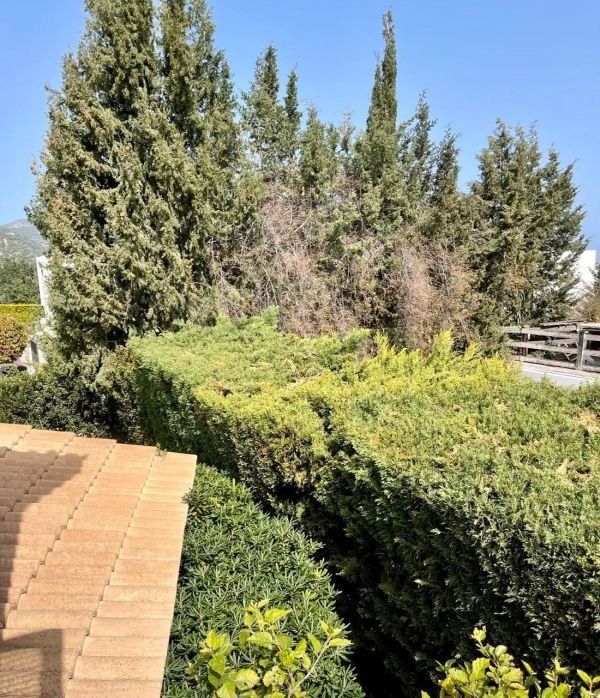 Strandvilla beim 5*-Hotel Anassa in Polis