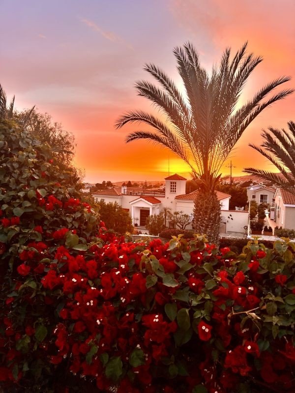 Renovierter Bungalow auf großem Grundstück in Paphos