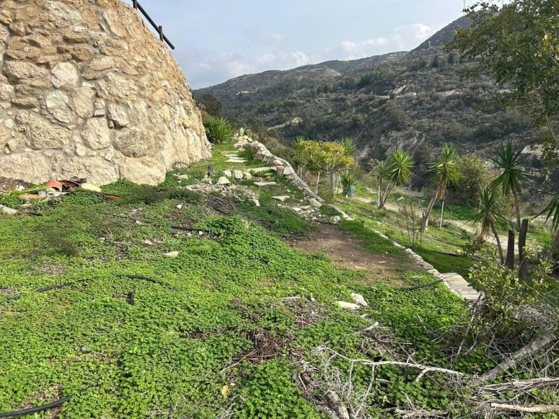 Villa with sea/sunset views in Paphos