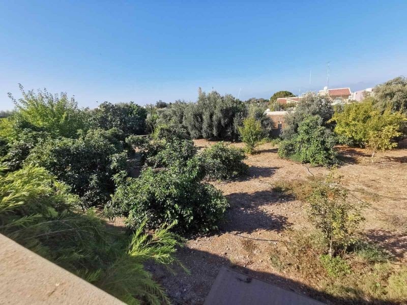 Residenz auf einem 5000m2 Grundstück in Paphos