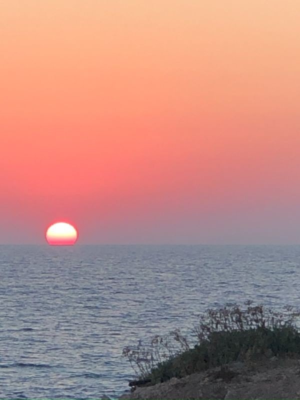 Beach Villa with sea view in Paphos