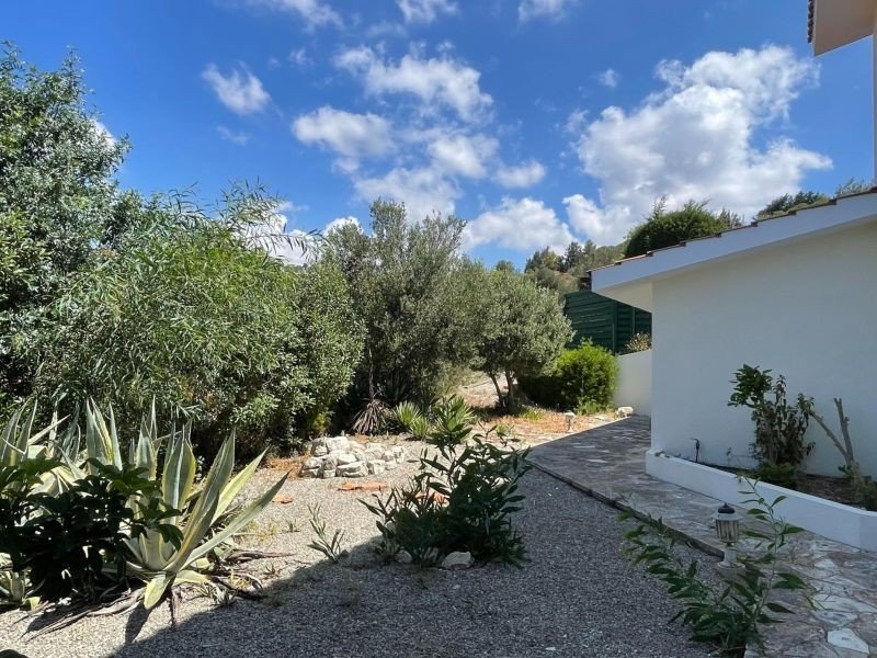 Villa on 2,642 m² Plot with Sea View in Paphos