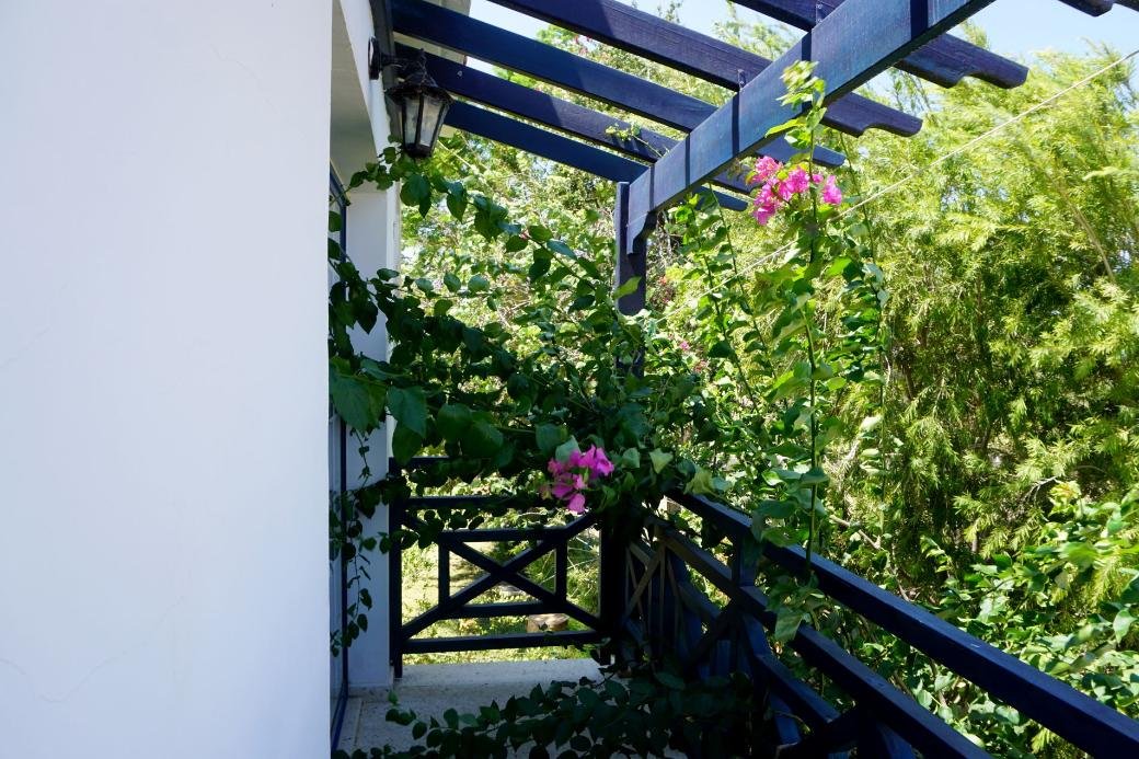 Hotel-Apartments am Meer in Polis Chrysochous