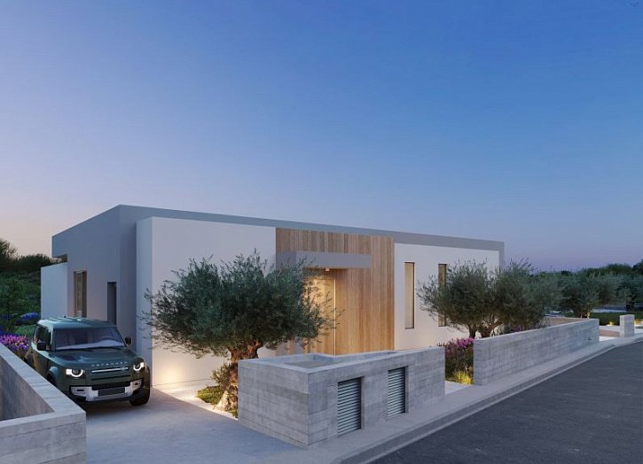 Modern luxury villa with sea view