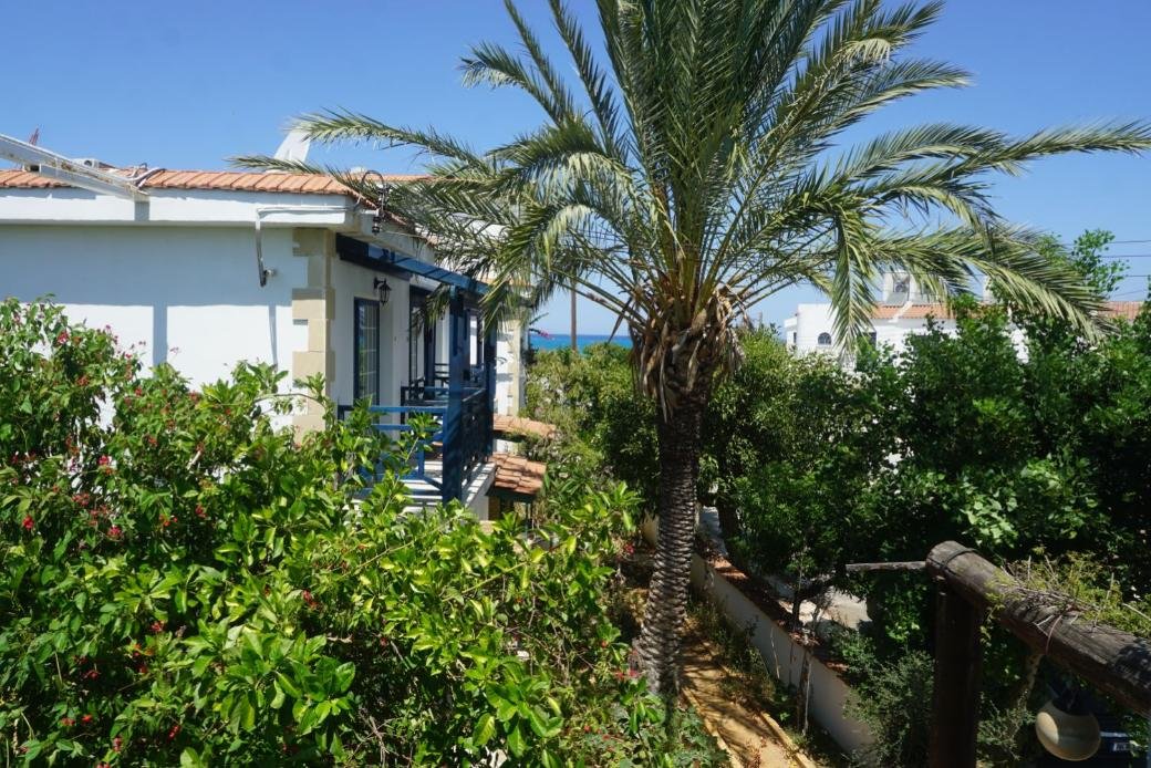 Hotel-Apartments am Meer in Polis Chrysochous