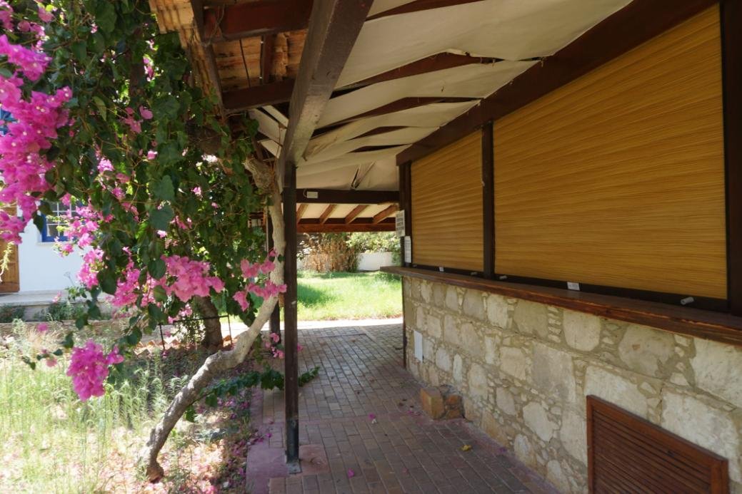 Hotel-Apartments am Meer in Polis Chrysochous