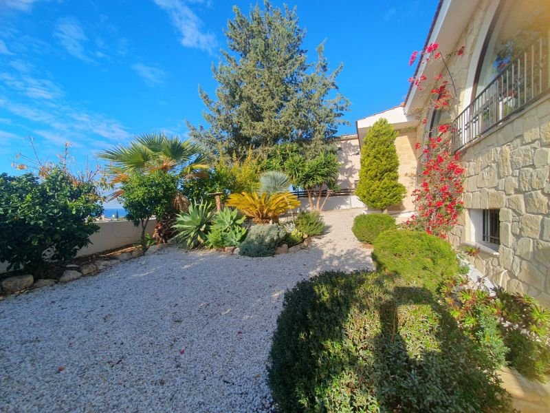 SeaView Large Estate with Building Potential in Paphos
