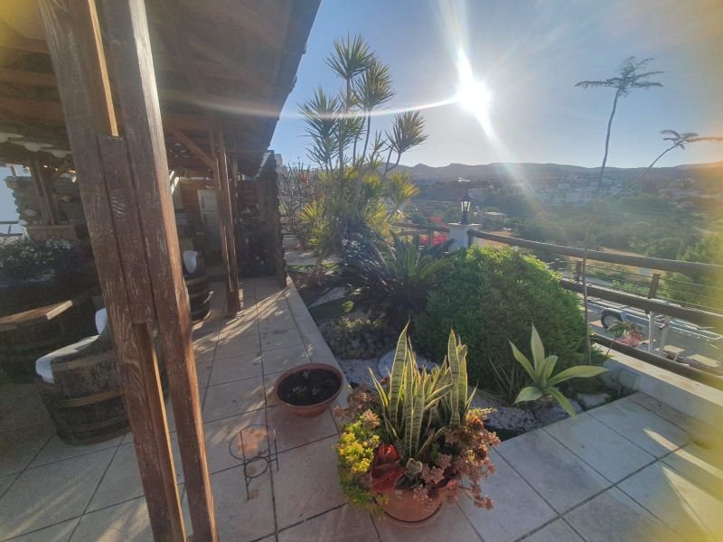 SeaView Large Estate with Building Potential in Paphos