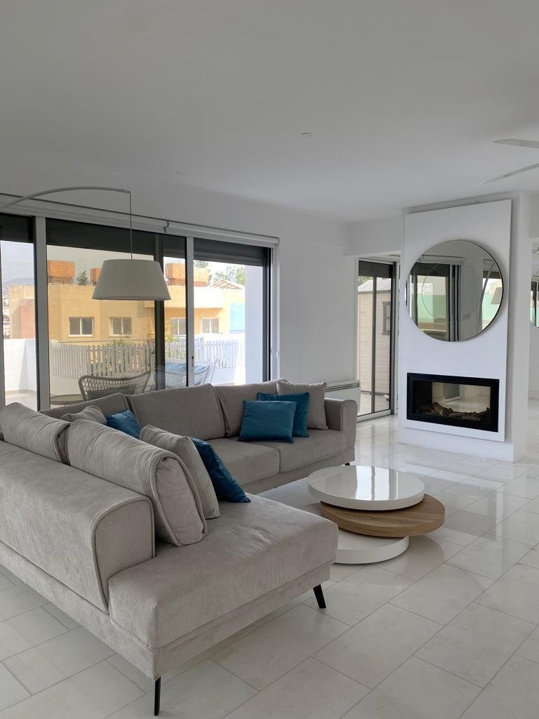 Penthouse with Expansive Terrace